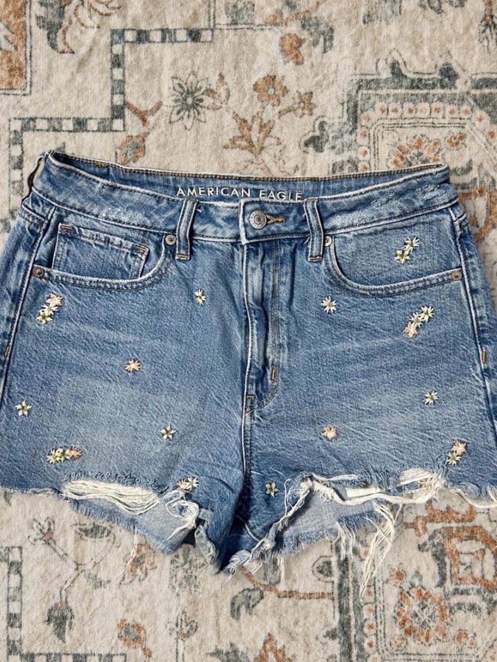 American Eagle Outfitters Light Blue Denim Shorts with Floral Embroidery